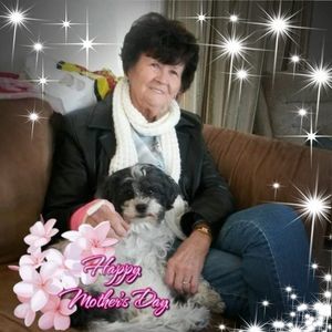 Meet your Posher, Patti